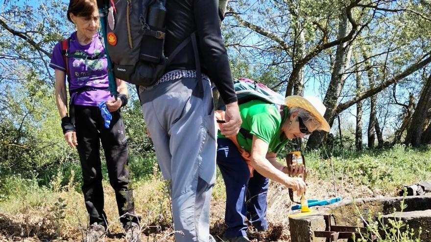 Voluntarios de la asociación realizan labores de repintado de la señalización de los caminos jacobeos de Zamora.