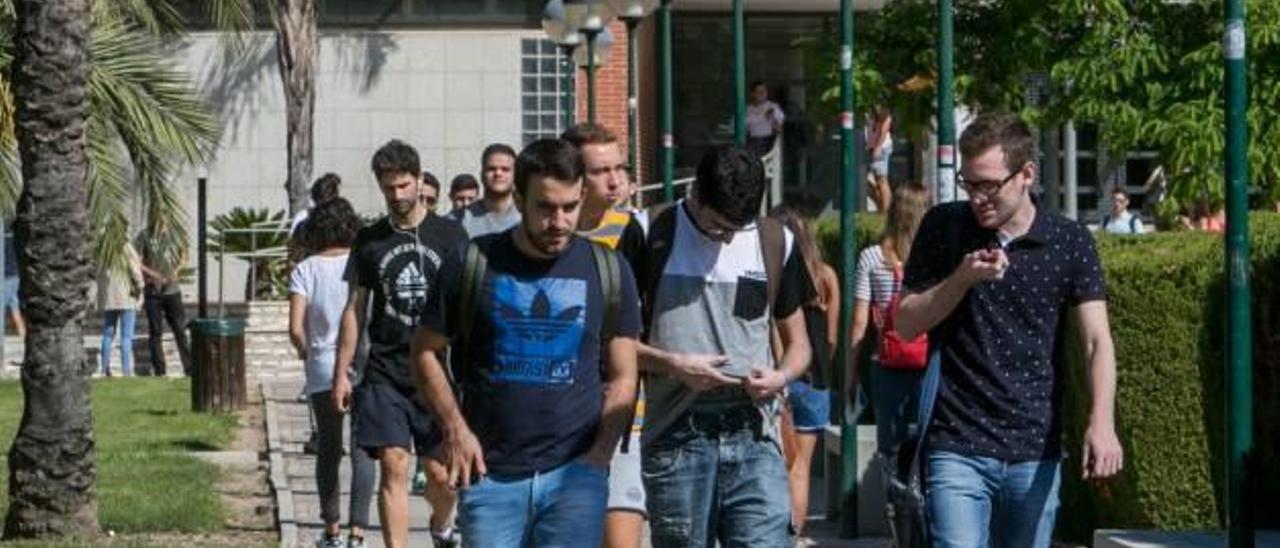 Alumnos en el campus de la Universidad Miguel Hernández de Elche.