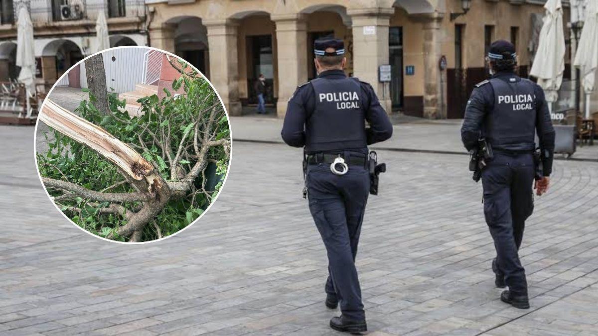 Los sucesos fueron atendidos por la Policía Local de Cáceres. En el círculo, imagen de archivo de un árbol partido.