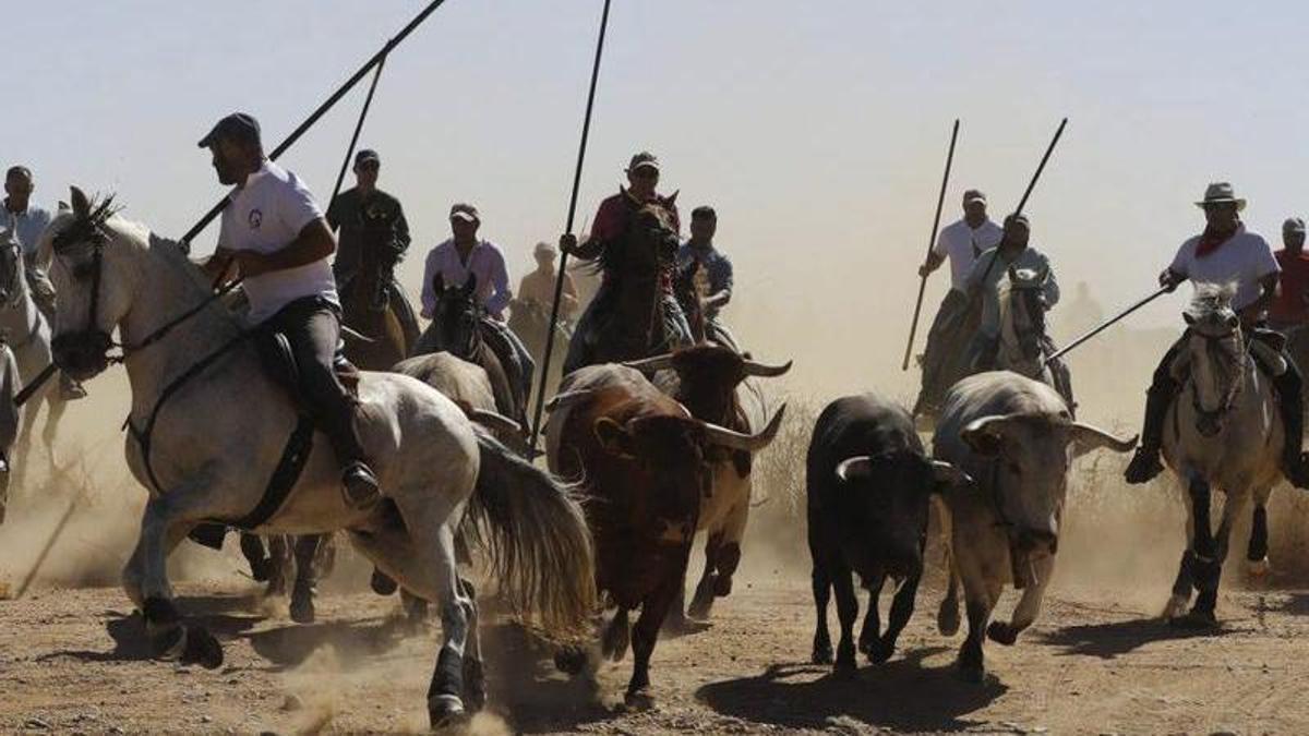 Encierro mixto de Villalpando.
