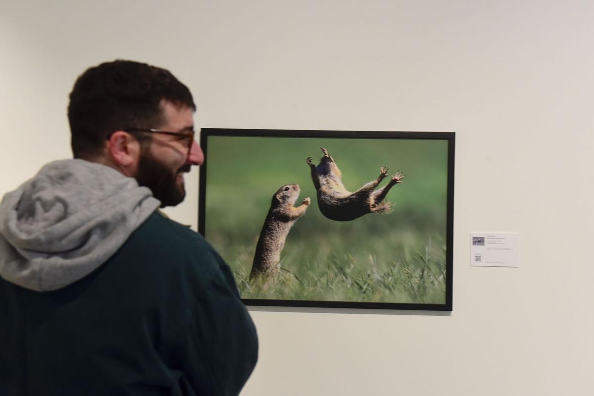 AFUNDACION EXPO COMEDY WILDLIFE