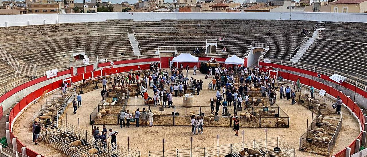 Imagen de una de las anteriores ediciones de la Fira Ramadera de Inca. | COOPERATIVAS AGROALIMENTARIAS