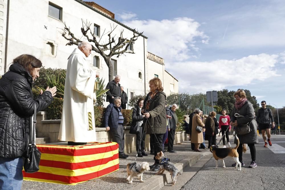 Desfilada de la Festa de Sant Antoni Abad al barri de Palau-sacosta i benedicció dels animals