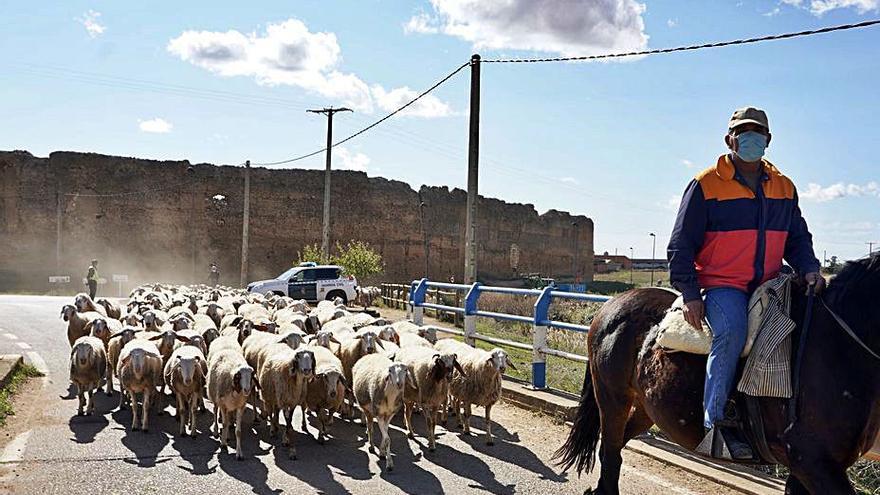 Sanidad aisla San Pedro de Latarce, en Valladolid, ante el aumento de casos