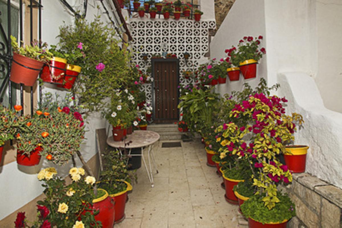 Diez rincones de Alicante por descubrir
