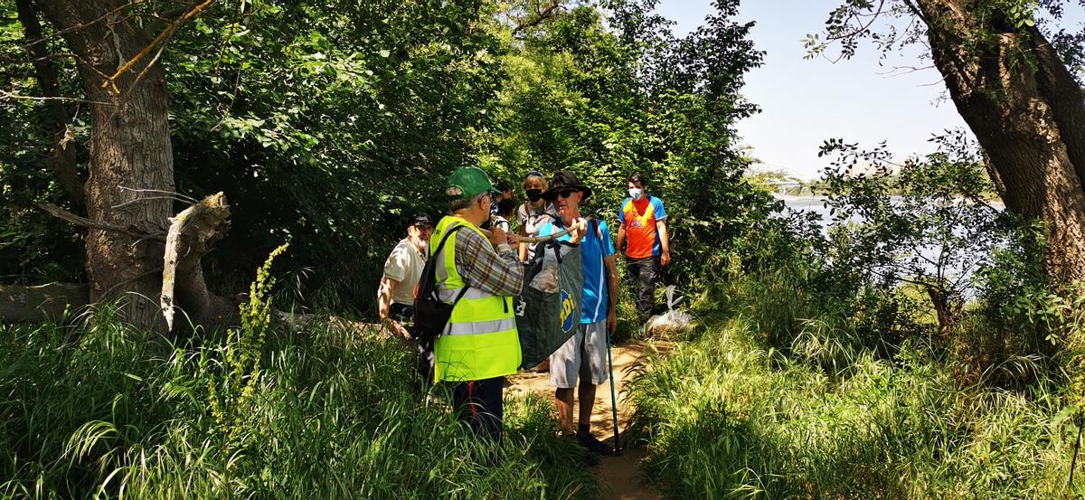 Así ha sido la limpieza ciudadana en la ‘ruta de las toallitas’ del Soto de Cantalobos de Zaragoza