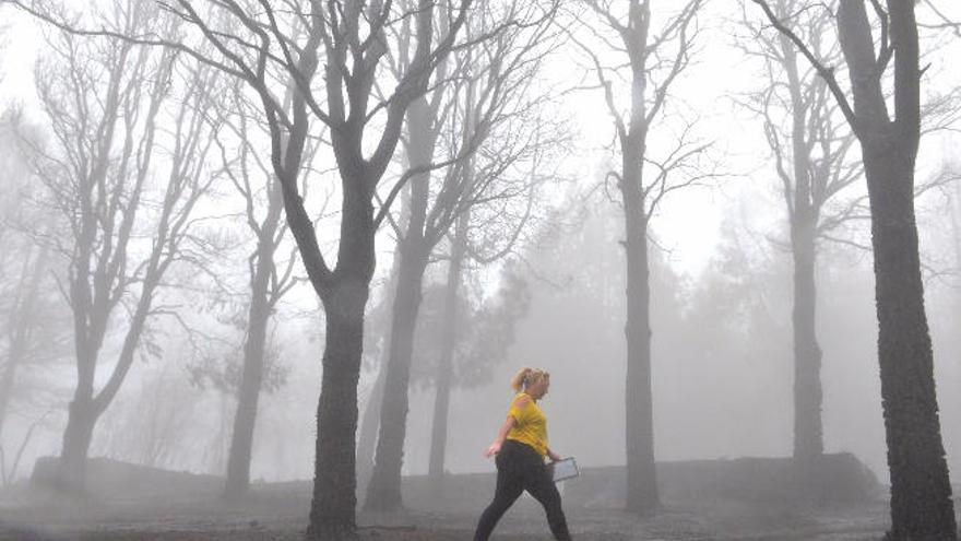 Una señora en los Llanos de Ana López, asolados por el fuego.