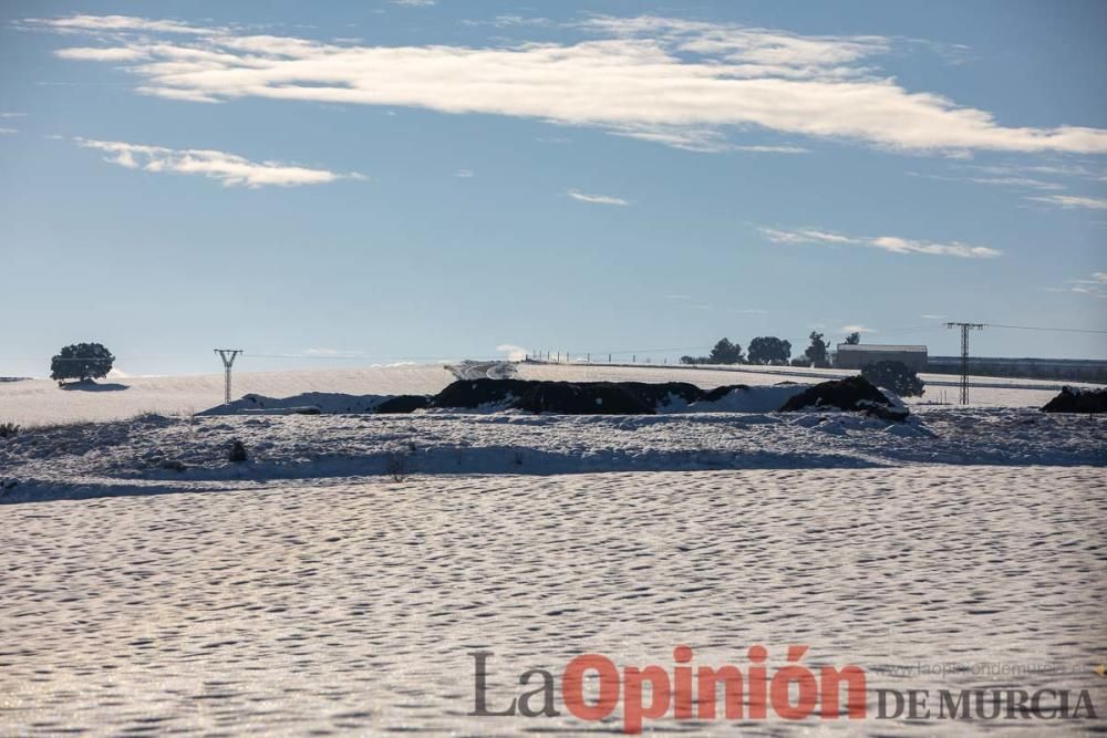 La nieve sigue siendo protagonista en el Noroeste