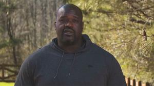 Shaquille ONeal tiene su particular casa del árbol