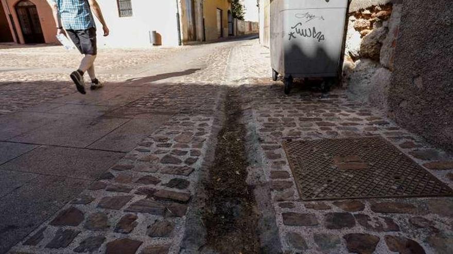 Estado actual de uno de los contenedores de La Horta.