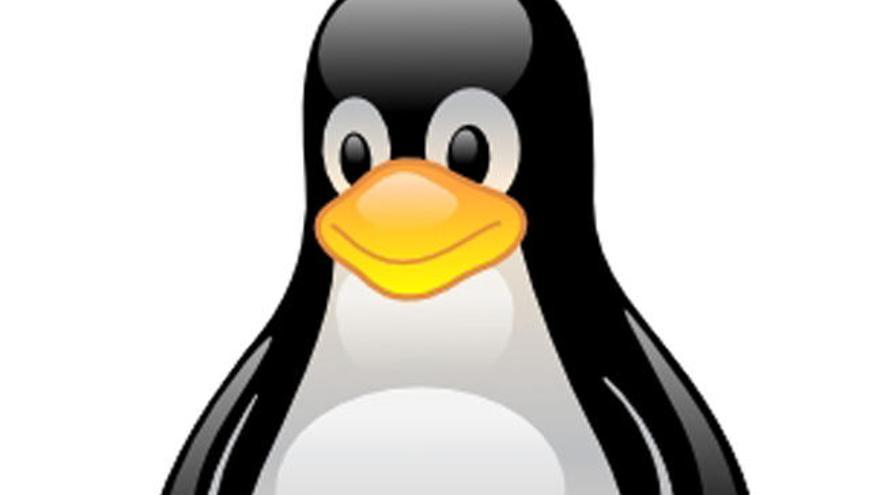 Logo de Linux. // FdV