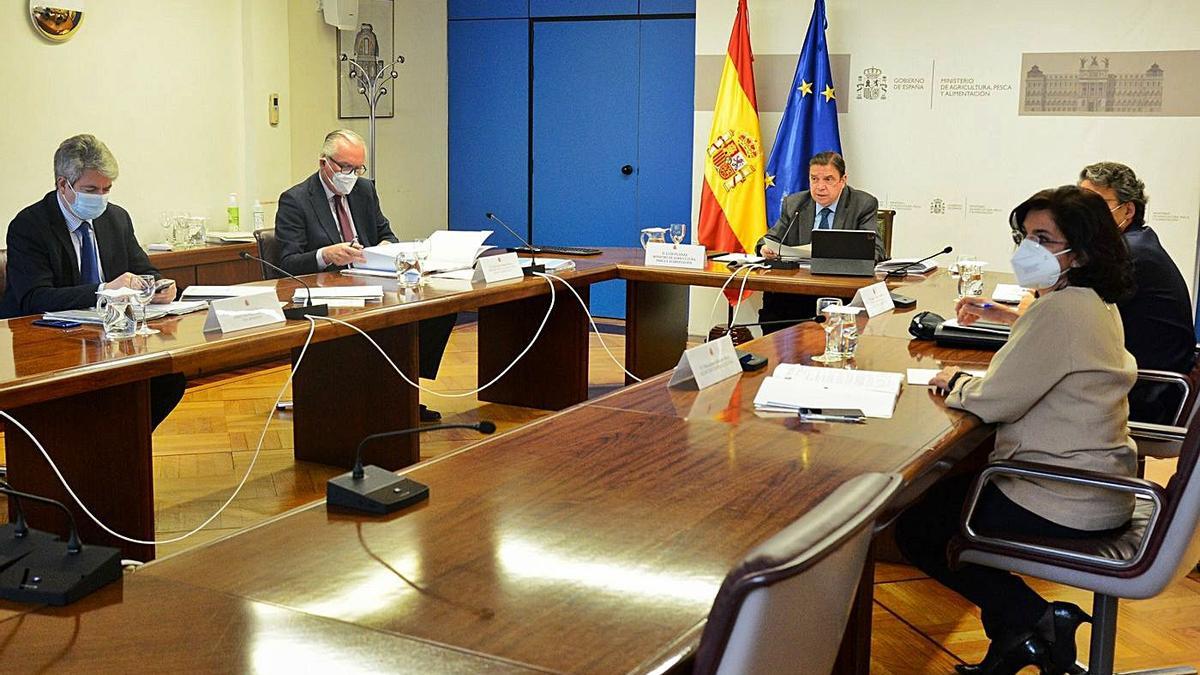 Luis Planas, durante la reunión de ayer del Consejo Consultivo de Política Agraria Comunitaria.