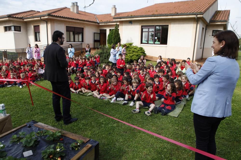 El "huertín" del Codema