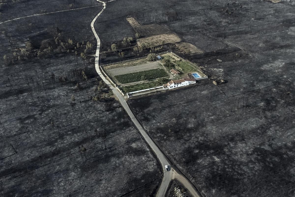 Vista aérea de una superficie calcinada el pasado verano en Oímbra, en Ourense,