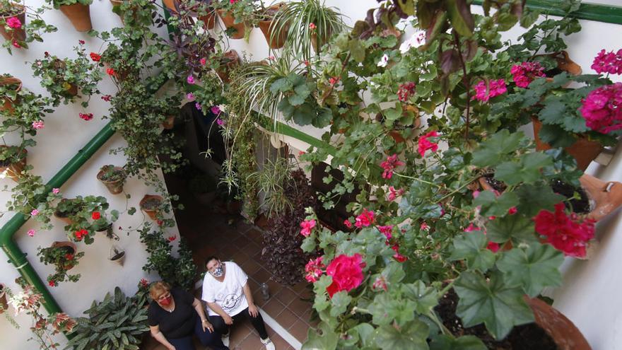 Patios de Córdoba 2021: Los recintos más escondidos... cuando menos es más