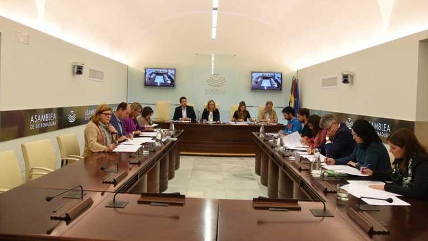 Los grupos políticos debaten las enmiendas a la ley de emergencia social de Extremadura