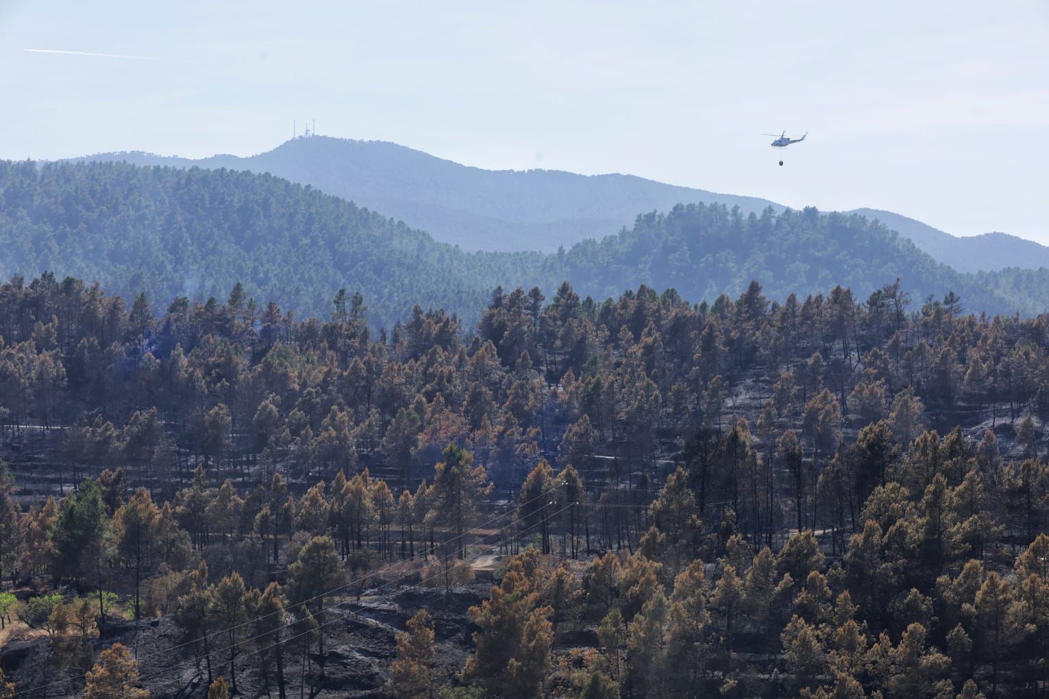 Las llamas devoran el interior de Castellón, dejando este paisaje desolador