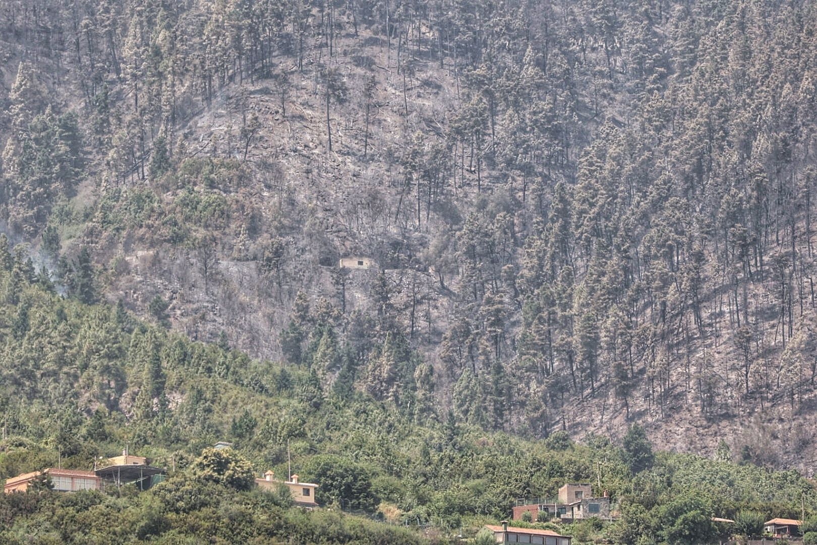 Incendio del norte de Tenerife (25/07/2022)