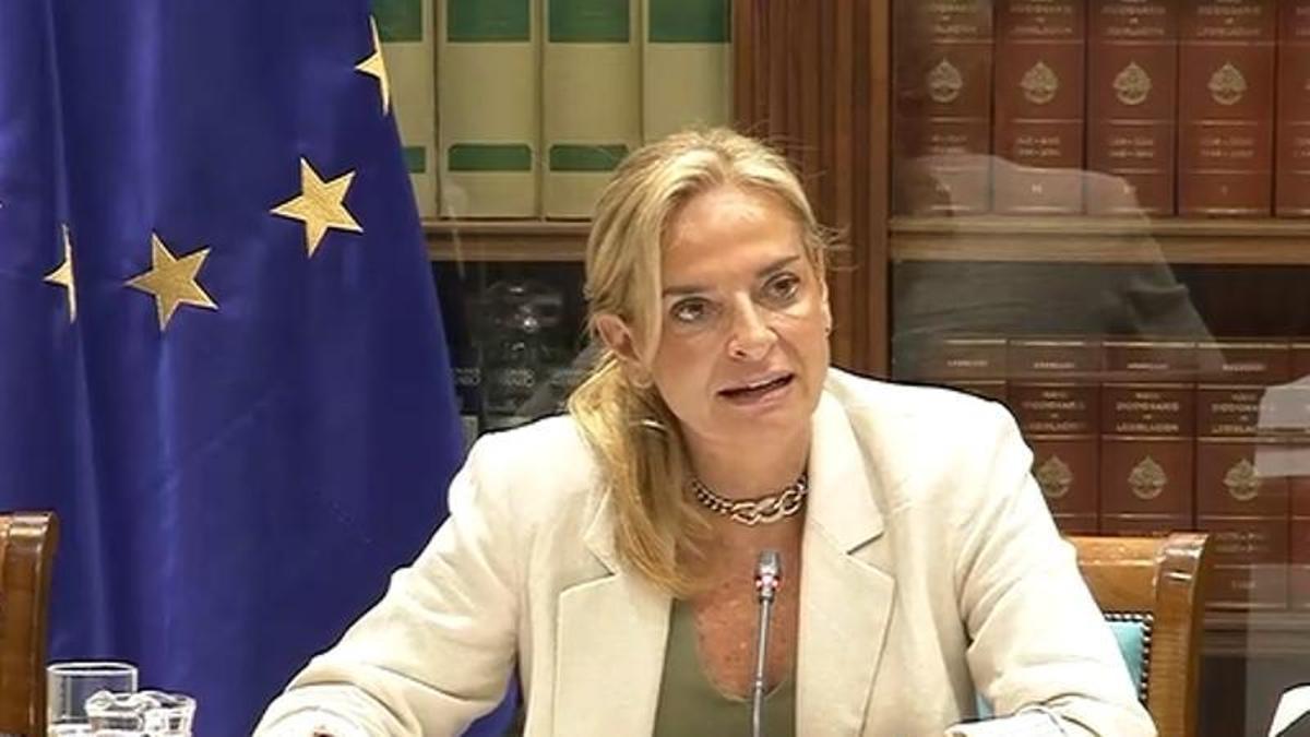 La consejera de Sanidad del Gobierno de Canarias, Esther Monzón, durante su intervención.