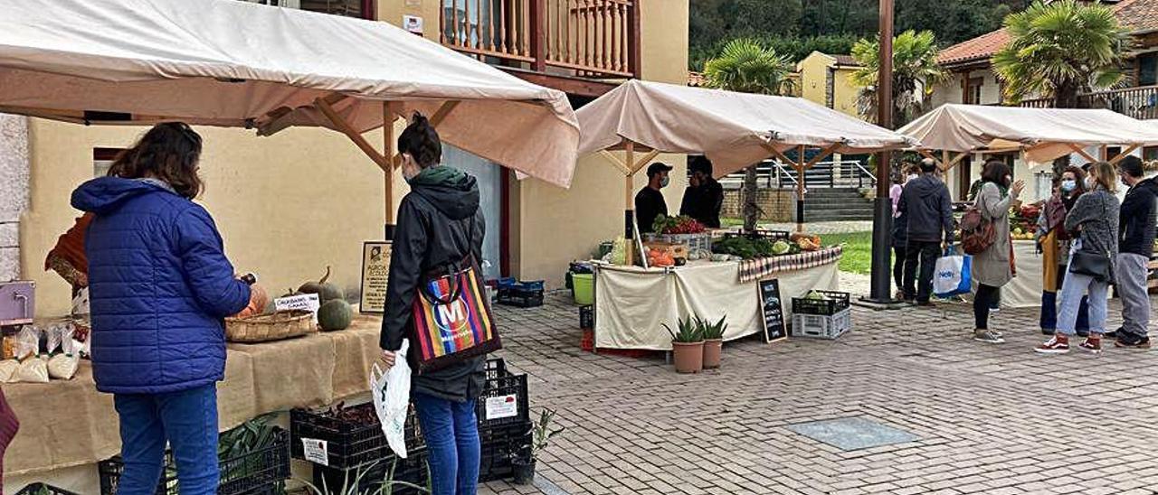 Asistentes al mercado ecológico en Raíces Viejo.