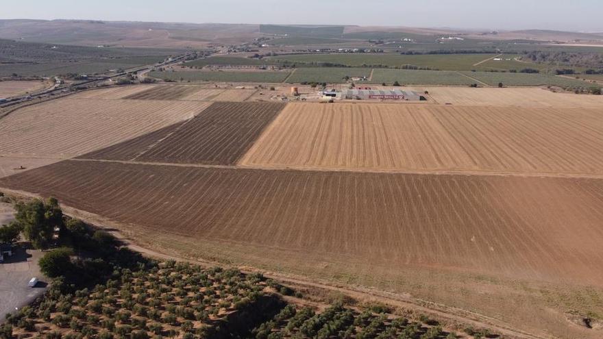 Urbanismo avanza en la innovación del plan del parque de La Rinconada