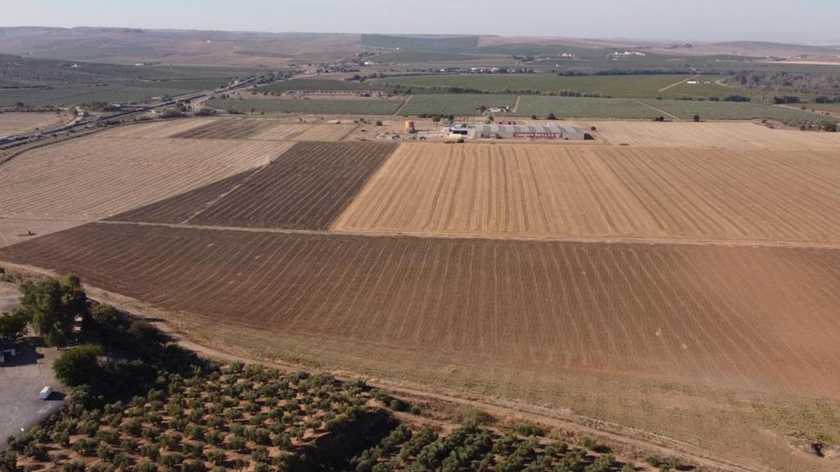 Foto aérea de los terrenos de la Rinconada que albergarán la futura base logística del Ejército.