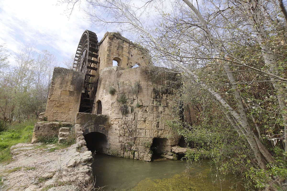 Los Sotos de la Albolafia de Córdoba