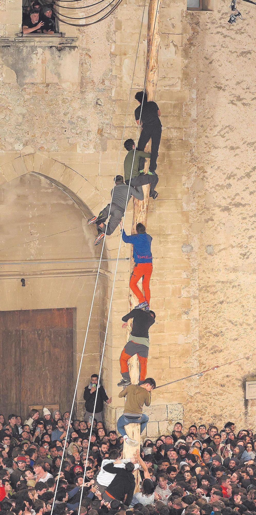 Bei Wind und Regen: So war das gefährliche Maibaumkraxeln zu Sant Antoni in Pollença auf Mallorca