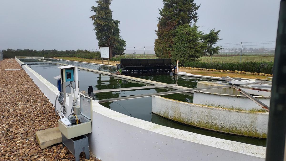 El Centro de Nuevas Tecnologías del Agua acoge este proyecto que logra depurar aguas gracias a las microalgas.