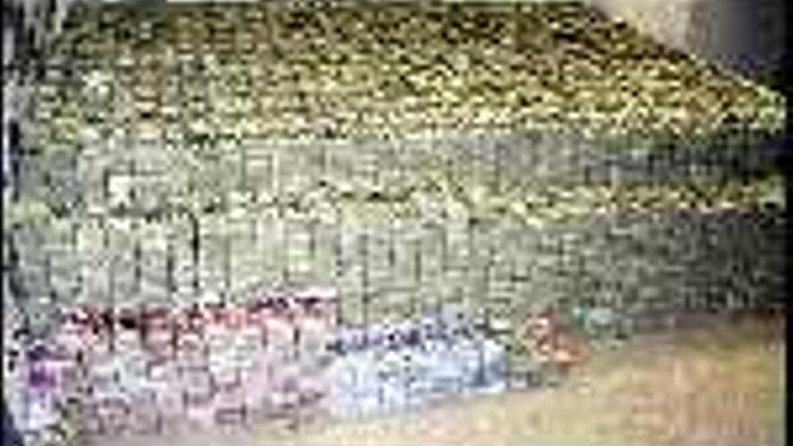 Imagen del dinero incautado a los narcotraficantes, acusados de importar drogas sintéticas. / efe