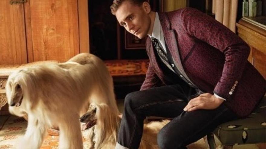 Tom Hiddleston, nuevo modelo de Gucci