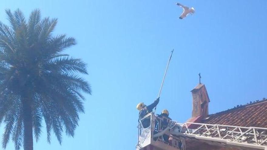 Una intervención de los bomberos en el Hospital Noble.