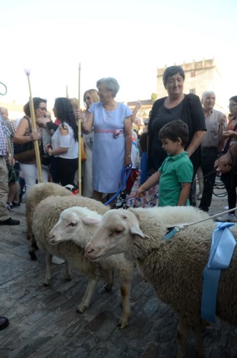 Cambados exalta a San Benito // Noe Parga