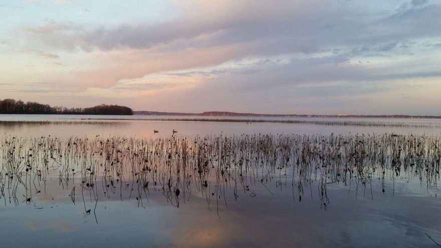 El cambio climático está &quot;atrapando&quot; a algunas bacterias en un bucle temporal eterno