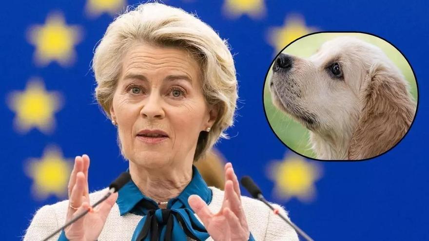 Nuevas normas para el transporte de mascotas en la UE