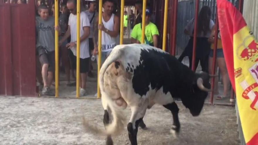 Un instante de la pasada edición de la vaquilla de El Moralet