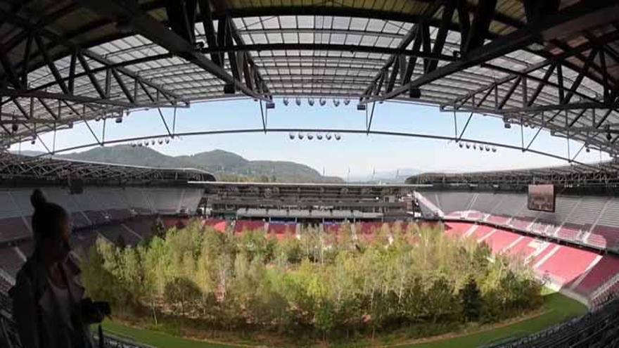 El inquietante bosque que crece dentro de un estadio de fútbol