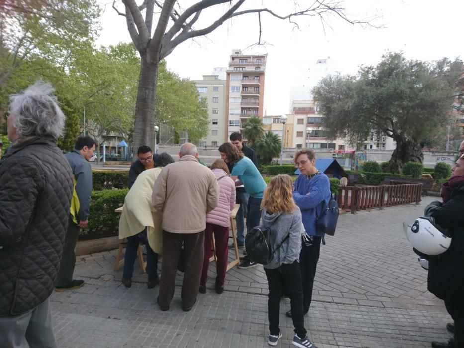 Referéndum monarquía o república en Palma