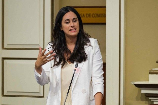 Pleno del Parlamento de Canarias 12.07.2022