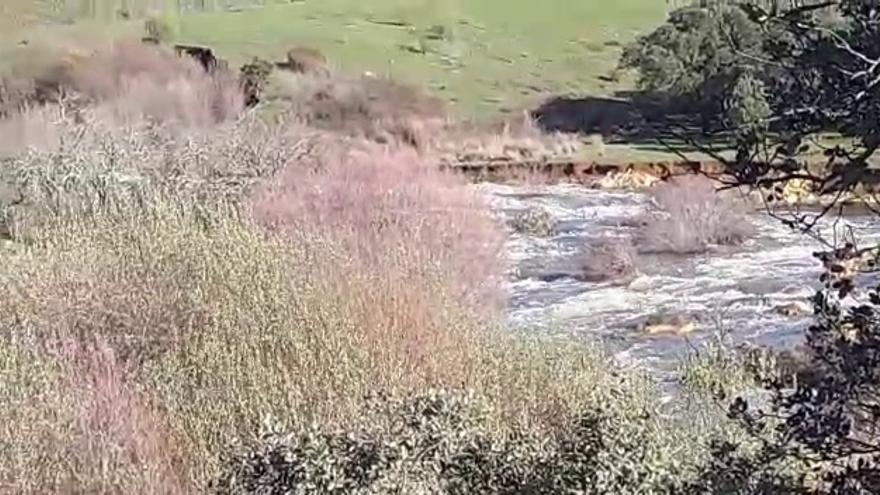 El embalse del Guadiloba inicia el desembalse