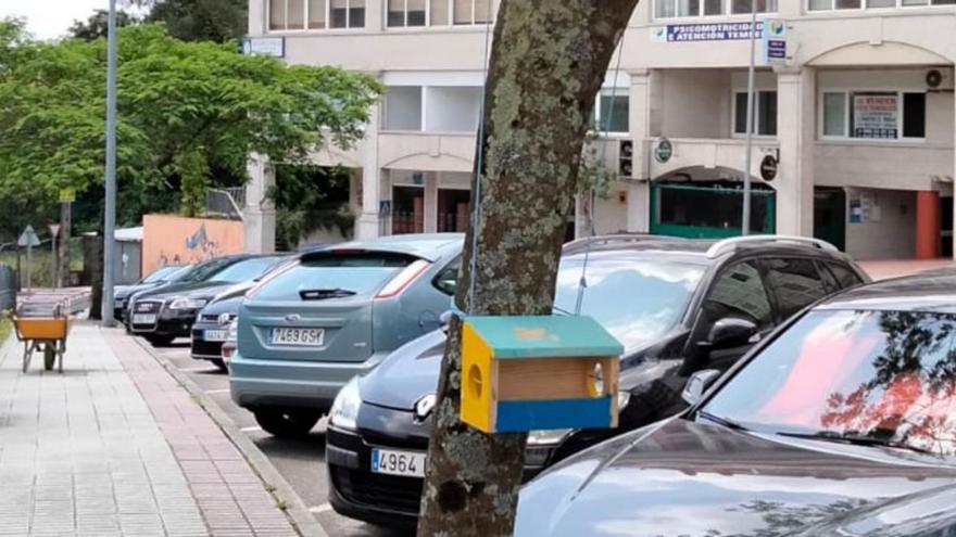 El Concello instala en O Rosal los comederos y casetas para pájaros del Juan XXIII