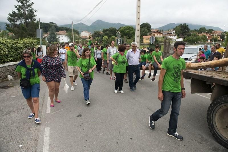 Celoriu planta su hoguera