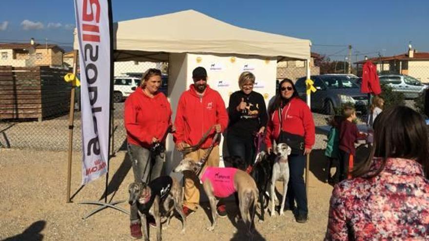 Representants de l&#039;entitat dedicada a la protecció dels galgos en la presentació del calendari.