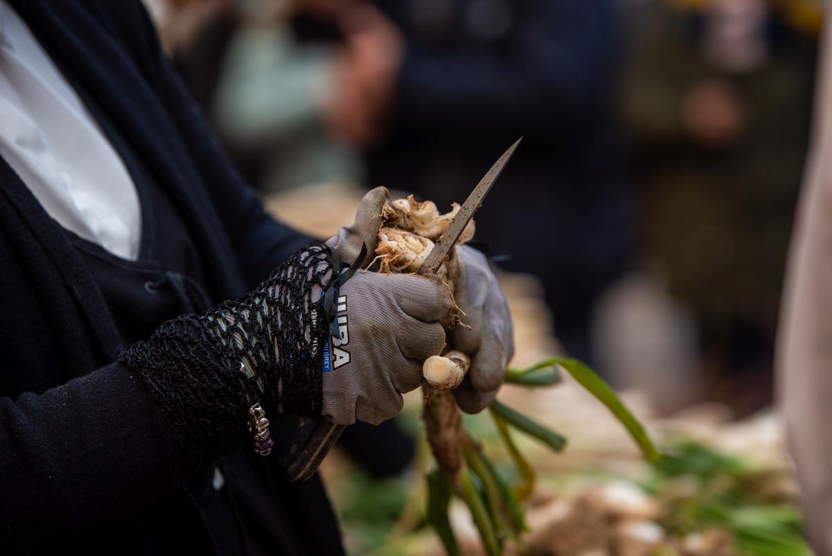 Gran Festa de la Calçotada de Valls