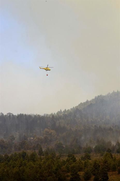 Incendio forestal en la zona de Montaña de Jedey, en La Palma