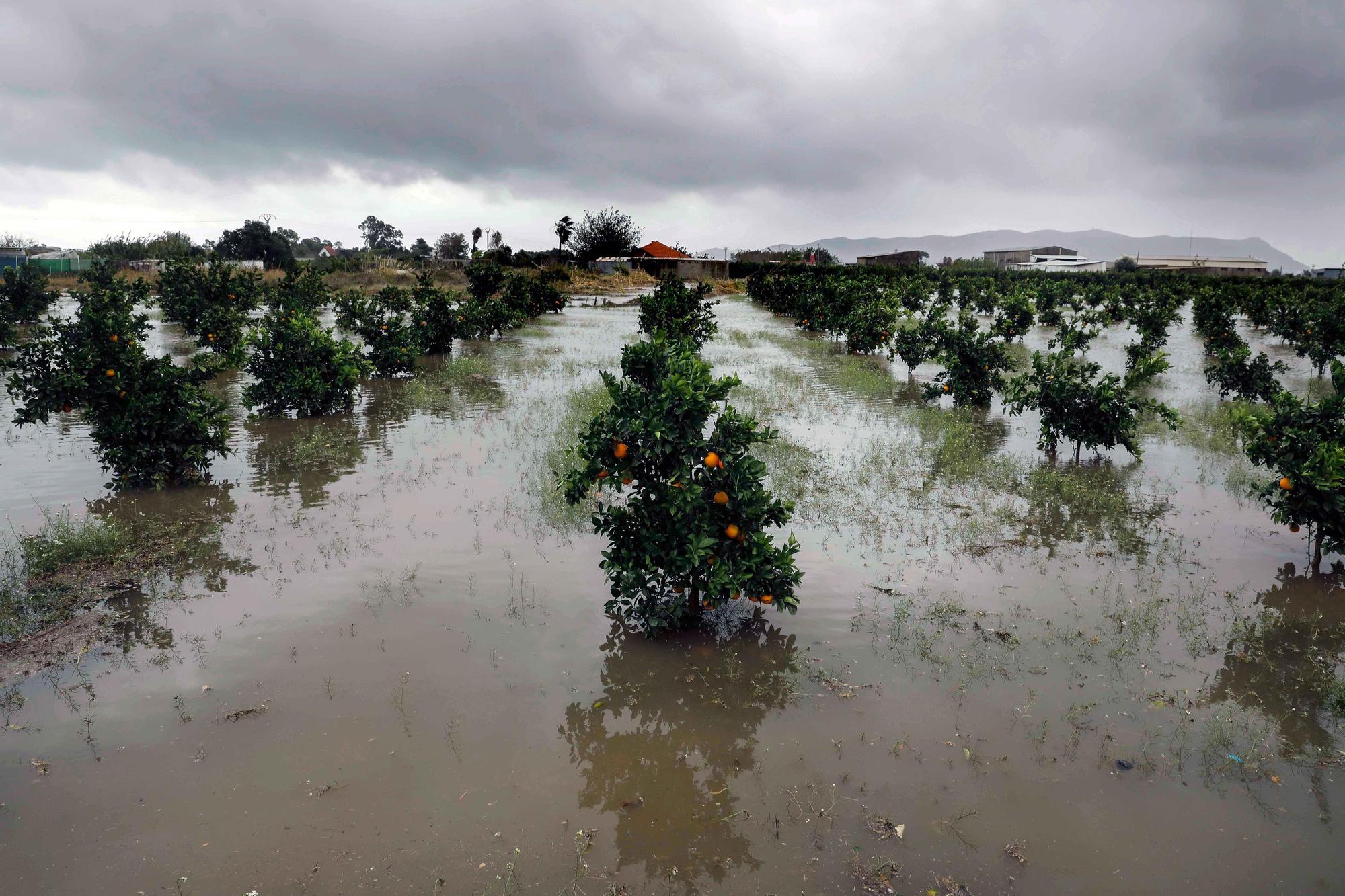 Tormentas en Valencia | Las lluvias torrenciales descargan con fuerza en la Comunitat Valenciana