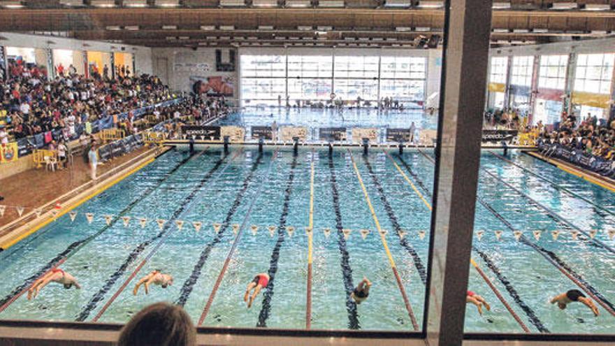 Vista panorámica de la piscina interior de Son Hugo, que ha acogido el Campeonato.