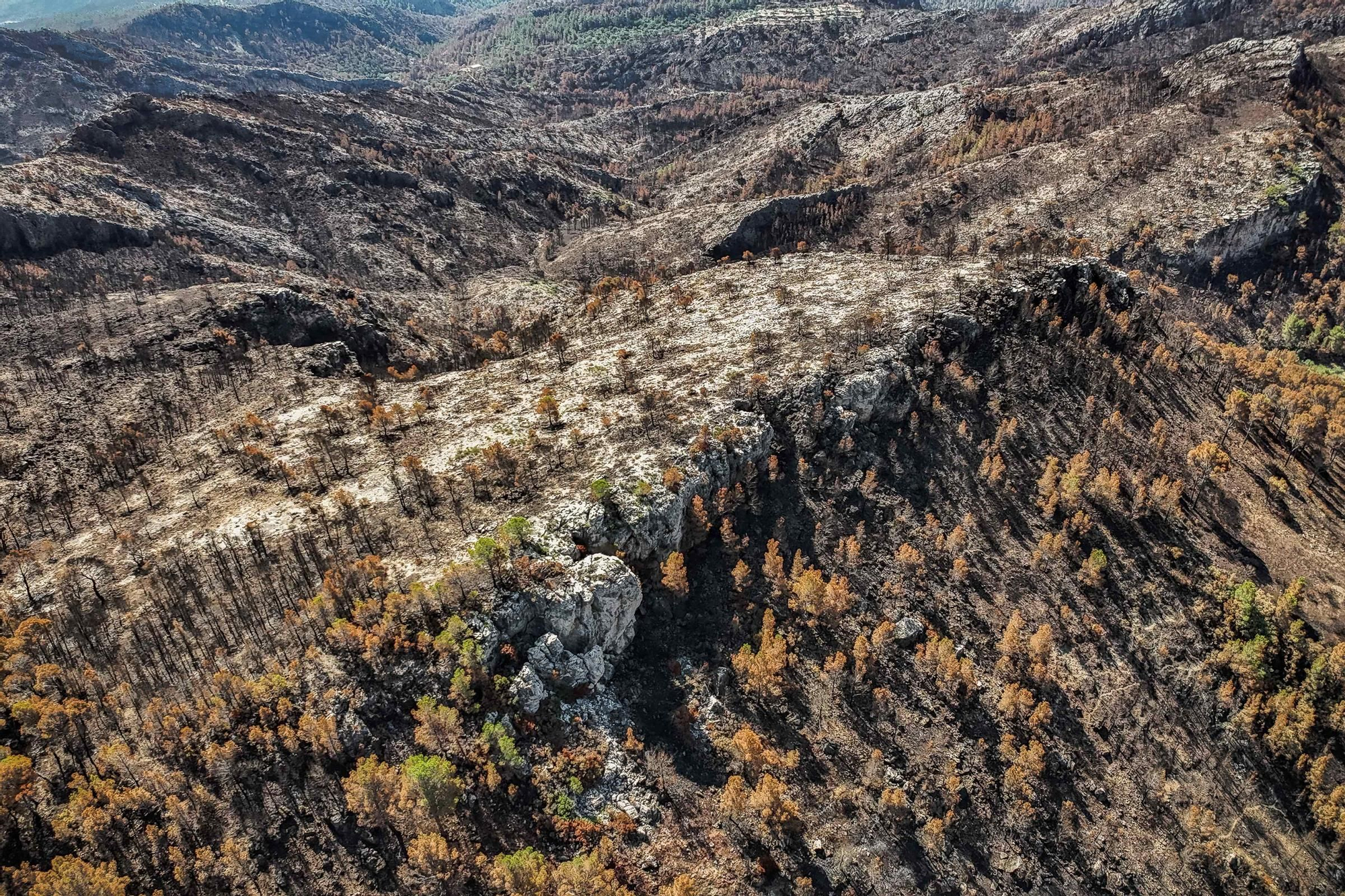 Les fotos de l'incendi de Paüls a vista de dron