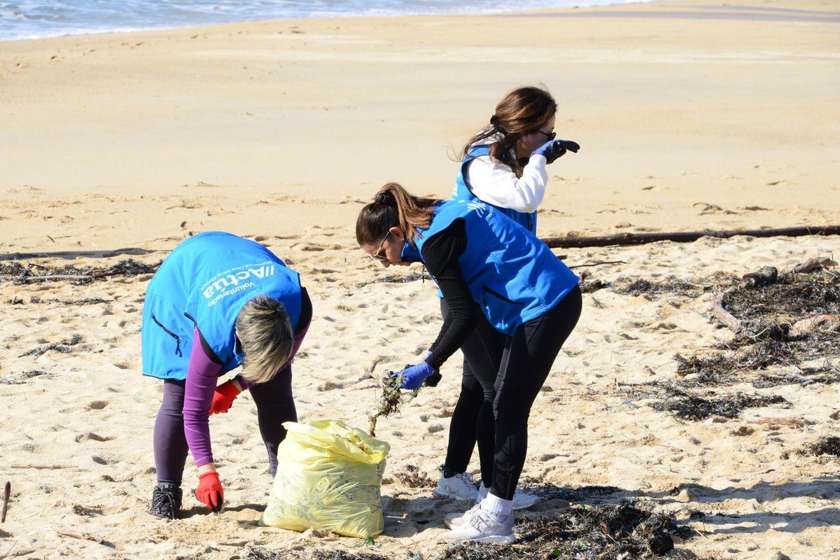 La limpieza de la playa de Area de Bon, en Bueu, en imágenes (I)