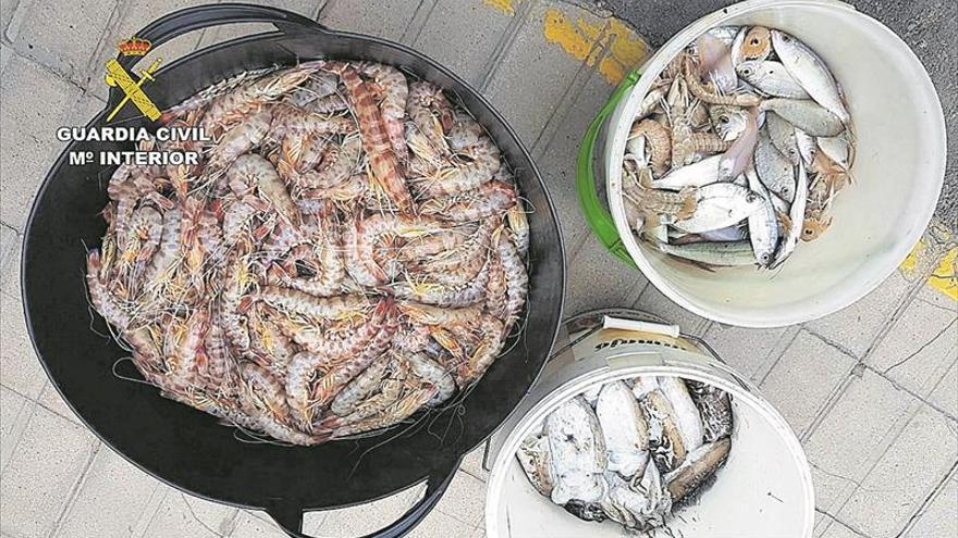 Requisan en Peñíscola  30 kilos de pescado ilegal